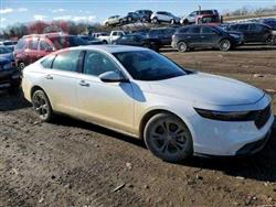 هۆندا ئەکۆرد